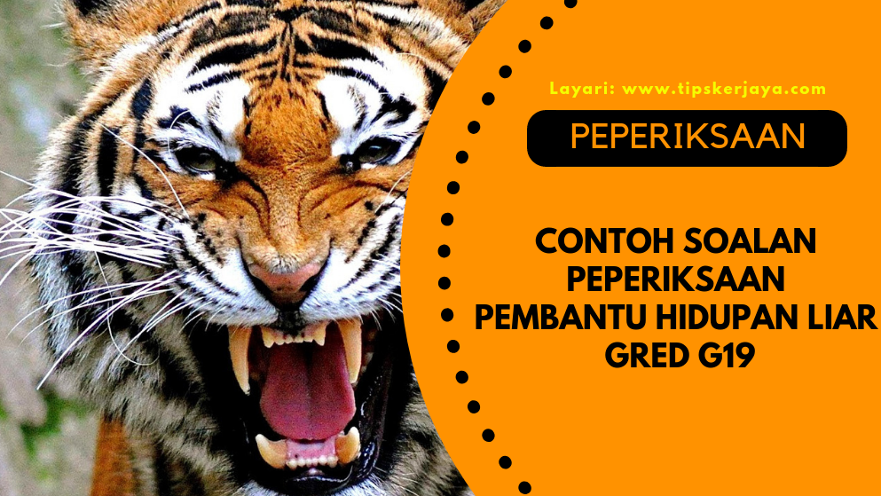 Contoh Soalan Peperiksaan Pembantu Hidupan Liar Gred G19 